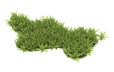 Field of grass with flowers on transparent background. 3d rendering - illustration