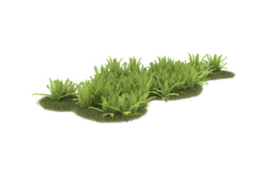 Field of grass with flowers on transparent background. 3d rendering - illustration