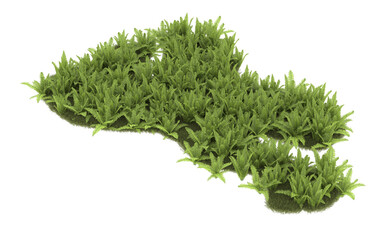 Field of grass with flowers on transparent background. 3d rendering - illustration