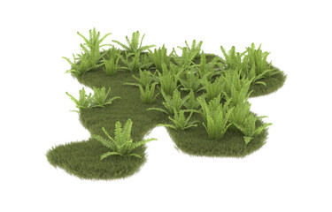 Field of grass with flowers on transparent background. 3d rendering - illustration