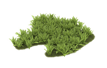 Field of grass with flowers on transparent background. 3d rendering - illustration