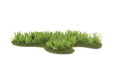 Field of grass with flowers on transparent background. 3d rendering - illustration