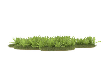 Field of grass with flowers on transparent background. 3d rendering - illustration