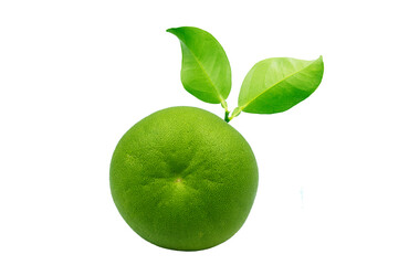 A pomelo fruit with leaves