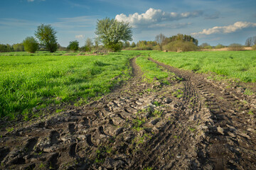 View of the muddy road and green meadows in spring