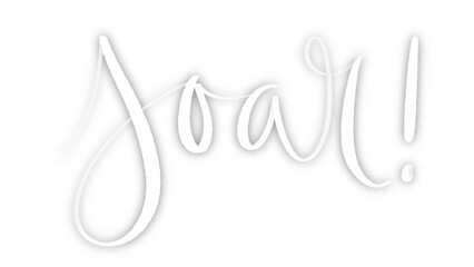 Fototapeta na wymiar SOAR! white brush lettering banner with drop shadow on transparent background