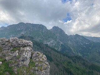 Big mountains landscape in the summer sunny day. Big rocks mountain with green forest, trees, fields, plants and grass. Summer blue sky in the mountain nature landscape. 
