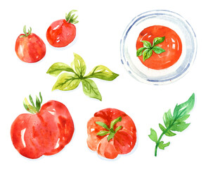 Watercolor set of tomatoes. Hand-drawn illustration isolated on the white background