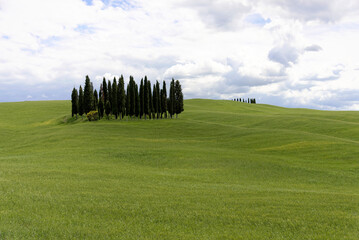 Landschaft mit Zypressen, südlich von Siena, Crete Senesi, Toskana, Italien, Europa