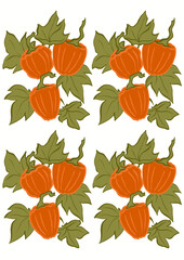 Dynie pomarańczowe z liśćmi, trzy sztuki, rysowane, jesień, pattern, tło, element, powtarzalny,  - obrazy, fototapety, plakaty