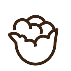 cabbage cole vegetable icon