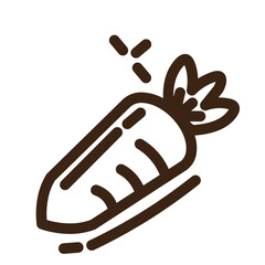 carrot farming food healthy salad sweet vegetable icon