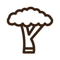 cauliflower cook cooking food healthy kitchen vegetable icon