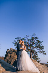 Beautiful newlyweds hugging, against the backdrop of rocks, stones, and trees.