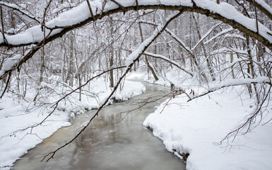 A fallen tree covered with snow over a frozen stream in a winter forest.
