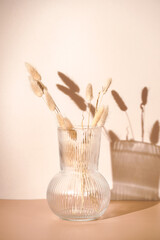 A bunch of yellow wheat spikes, Reeds foliage branches in a transparent rippled vase on orange and beige colored background with hard light shadow, sunny morning