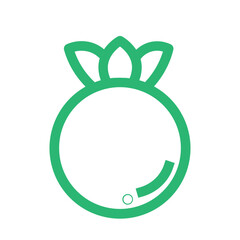 cooking food organic tomato vegetable icon