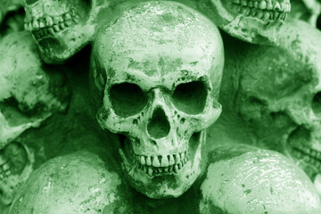Photo of skulls against background of other skulls