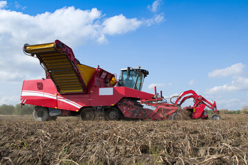 Fototapeta premium potato harvester