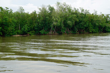 river iguamo in the dominican republic