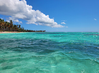 tropical island saona in the dominican republic