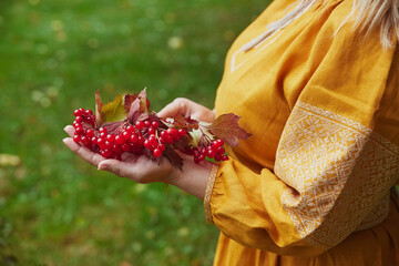 beautiful Ukrainian woman in an embroidered dress holding viburnum