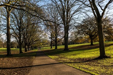 Fototapeta premium Walking trail through the beautiful Abington park in autumn in Northampton, England