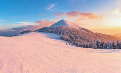 Winter. Sunrise. A panoramic view of the covered with snowy mountain peak. Natural landscape with...