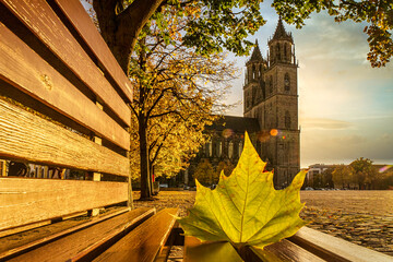 Magdeburger Dom im Herbst mit Blatt