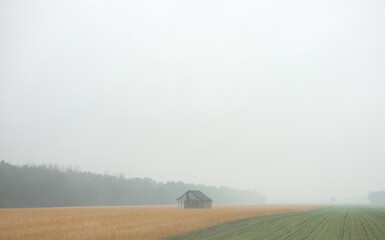 Obraz premium Reif zur Ernte