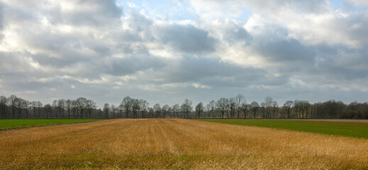 Obraz premium Strohernte