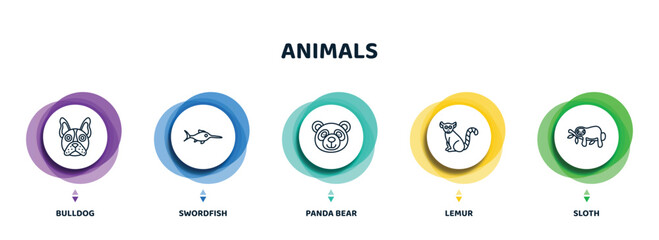 editable thin line icons with infographic template. infographic for animals concept. included bulldog, swordfish, panda bear, lemur, sloth icons. © IconArt