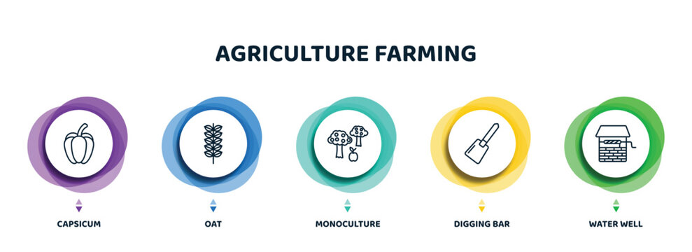 Editable Thin Line Icons With Infographic Template. Infographic For Agriculture Farming Concept. Included Capsicum, Oat, Monoculture, Digging Bar, Water Well Icons.