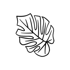 Flower Botanical Floral Detail Outline Illustration