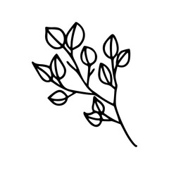 Flower Botanical Floral Detail Outline Illustration