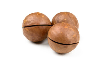 macadamia nuts on white background isolate