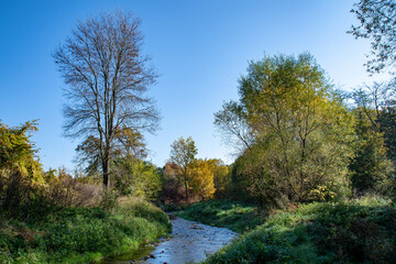 Autumn. Colorful leaves on the trees in the park. Selective focus.