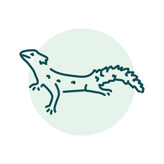 Lizard color line illustration. Animals of Africa.