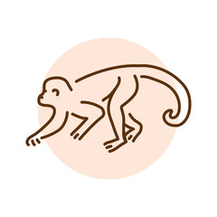 Monkey color line illustration. Animals of Australia.