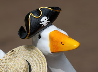 Seeräuber-Ente