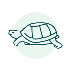 Turtle color line illustration. Animals of Australia.