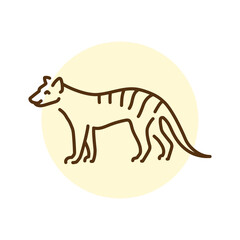 Marsupial wolf color line illustration. Animals of Australia