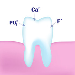 3D tooth with calcium, phosphorus and phosphate ions. The scheme of remineralization of tooth enamel