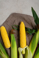 Food cooking background sweet corn on cob top view on textile copy space