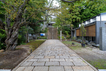 松尾寺
