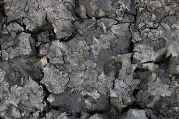 Dry soil. The dirt is cratered due to the lack of water.