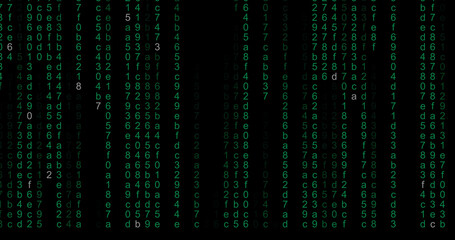 computer code rain background