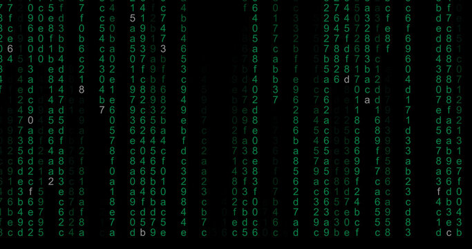 computer code rain background