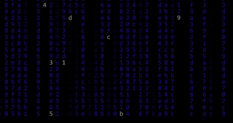 computer code rain background