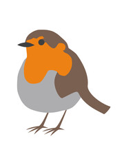 European robin